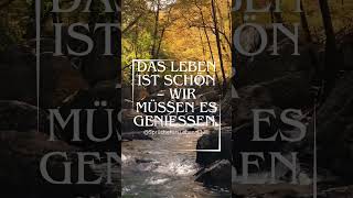 Sprüche • Lebensweisheiten • Zitate • Gedanken über das Leben • innere Ruhe • Weisheit