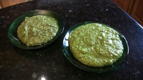How to Make Pesto with Pine Nuts, Walnuts, Pecans and Almonds.