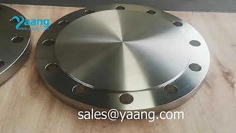 ASME B16.5 ASTM B564 Hastelloy B3 Blind Flange Raised Face 10" Class 150 - www.yaang.com