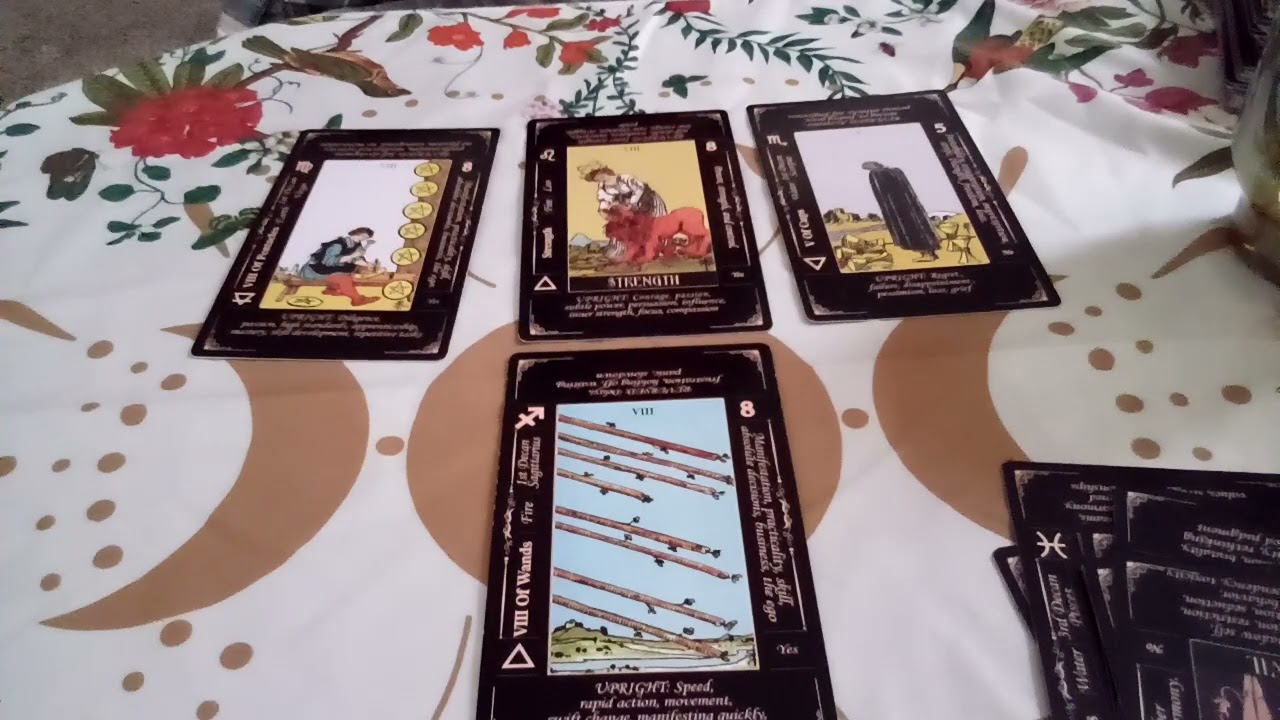 Foodie Beauty Visa Beezin'?! Tarot Reading for Gorl World