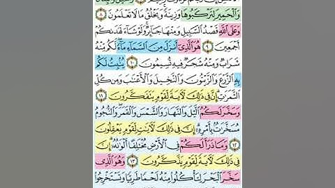 تيسير حفظ سورة النحل بالتكرار الوجه الثاني الآيات (7-14) مكرر 5 مرات بصوت الشيخ عبد الباسط