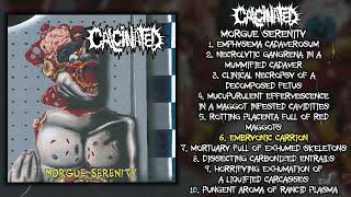 Calcinated - Morgue Serenity FULL ALBUM (2022 - Pathological Goregrind)