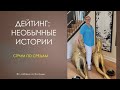 Новые истории дейтинга с моими комментариями // С любовью из Флориды