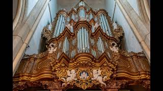 Fantasie Heer Ik Hoor Van Rijke Zegen Dirk Meijerklaas Jan Mulder Bovenkerk Kampen Sweelinq