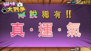 《貓咪大戰爭》管他750罐！大不了就NP screenshot 3