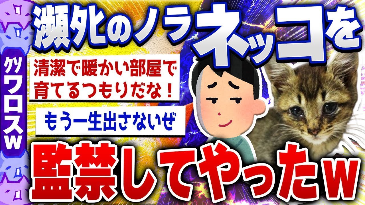 死にそうだった野良猫を捕まえて助けたｗｗｗ