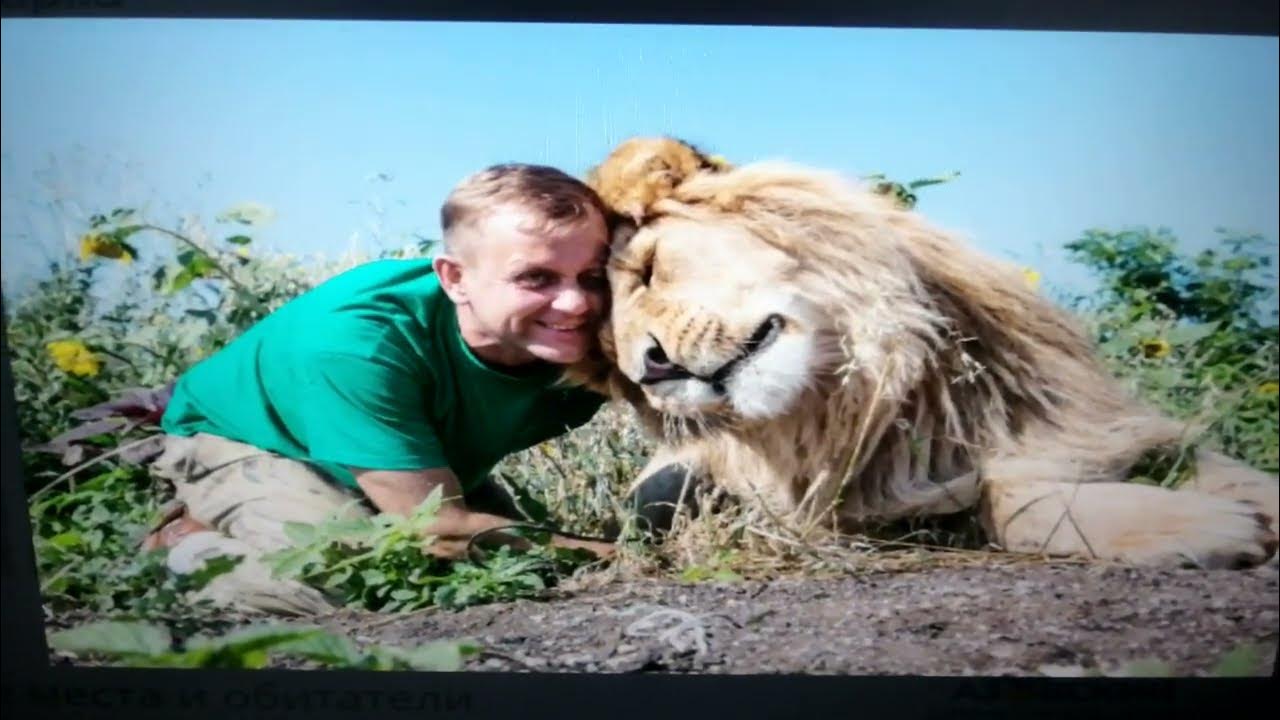 Тайган последние видео сегодня с татьяной алексагиной