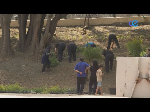 'Los Geranios': Plantando futuros a través de la formación