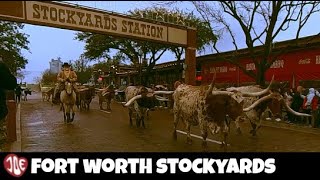 360 Stockyards Station Fort Worth Texas