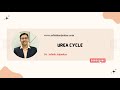 Proteins - 4 - Urea cycle