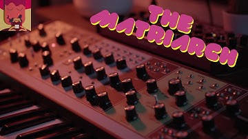 Moog Matriarch Paraphonic Jam with the Behringer Edge