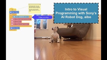 Programming aibo, Sony