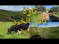 سحر الطبيعة في جبال قبيلة التسول بني فراسن قرب تازة