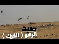 صيد الرهو الكرك