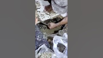 Dịch vụ thông cống nghẹt uy tín và trách nhiệm nhất Sài Gòn