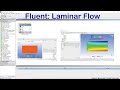 Fluent: Laminar Flow