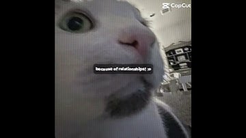 To lazy to edit so just used a template lol (credits) #visualeditor #editortools #funny #foryou