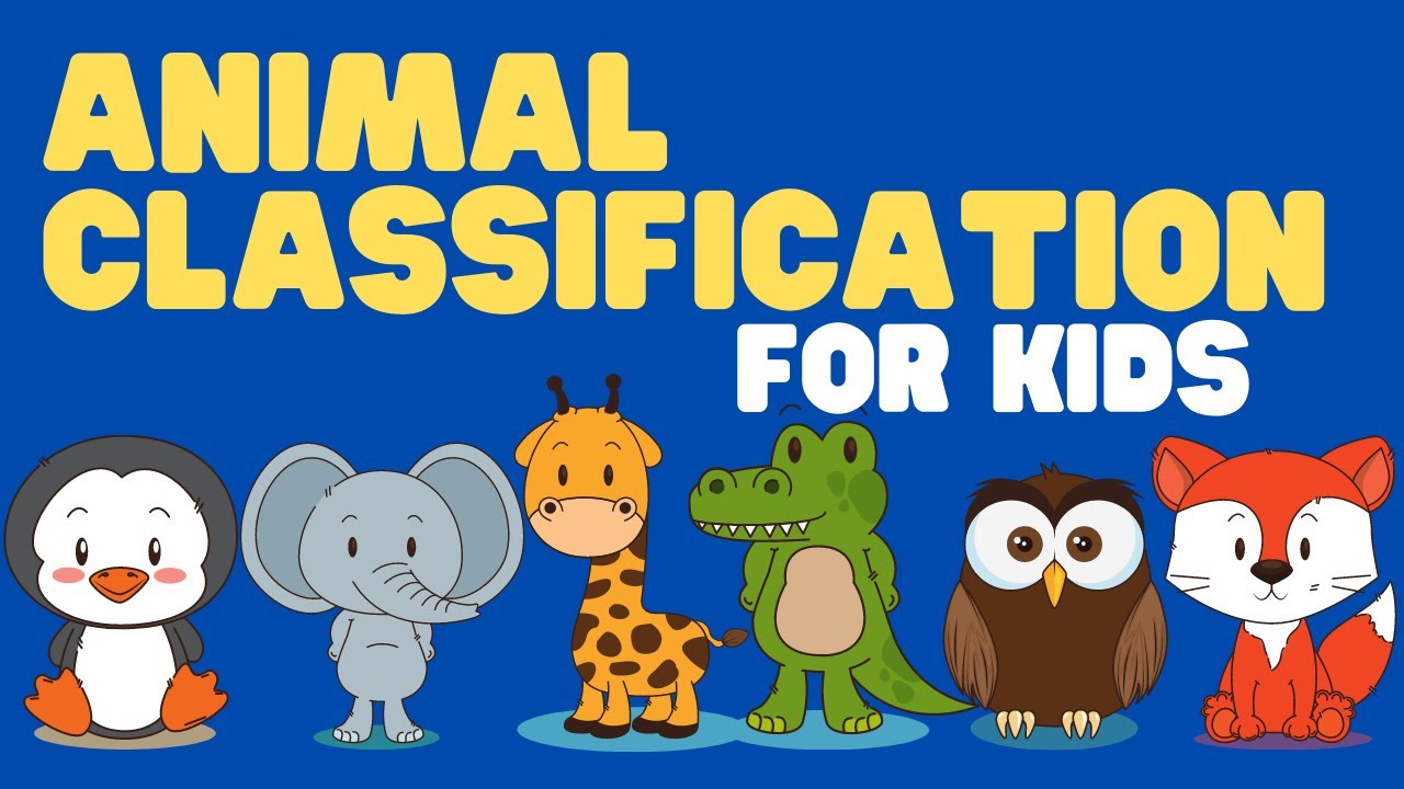 Animal Classification for Kids | Learn how to Classify Animals and the  Animal Taxonomies - YouTube