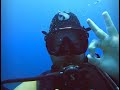 George cisneros swimming with sharks