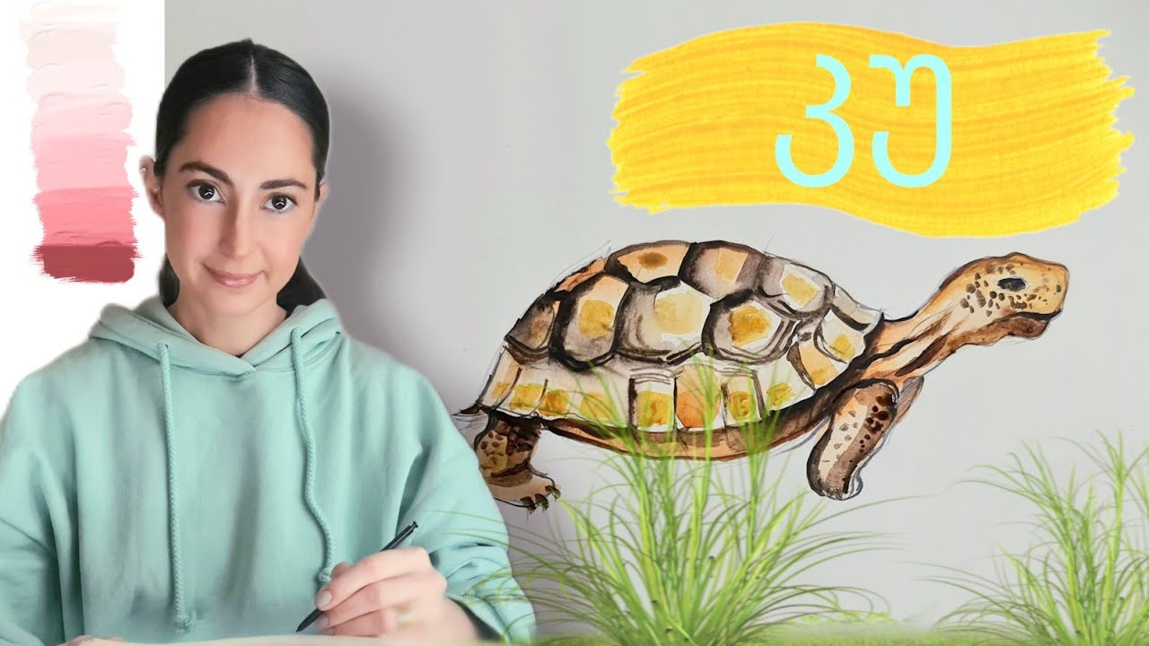 how To Paint A Tortoise turtle For how-to-paint-a-tortoise-turtle-for