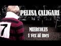 PELUSA CALIGARI &quot;La gloria&quot; (promo) ◀︎▶︎WEREVERTUMORRO◀︎▶︎