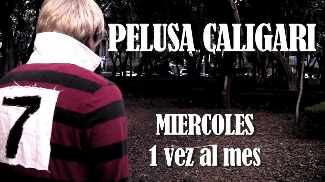 amistad meaning PELUSA CALIGARI 
