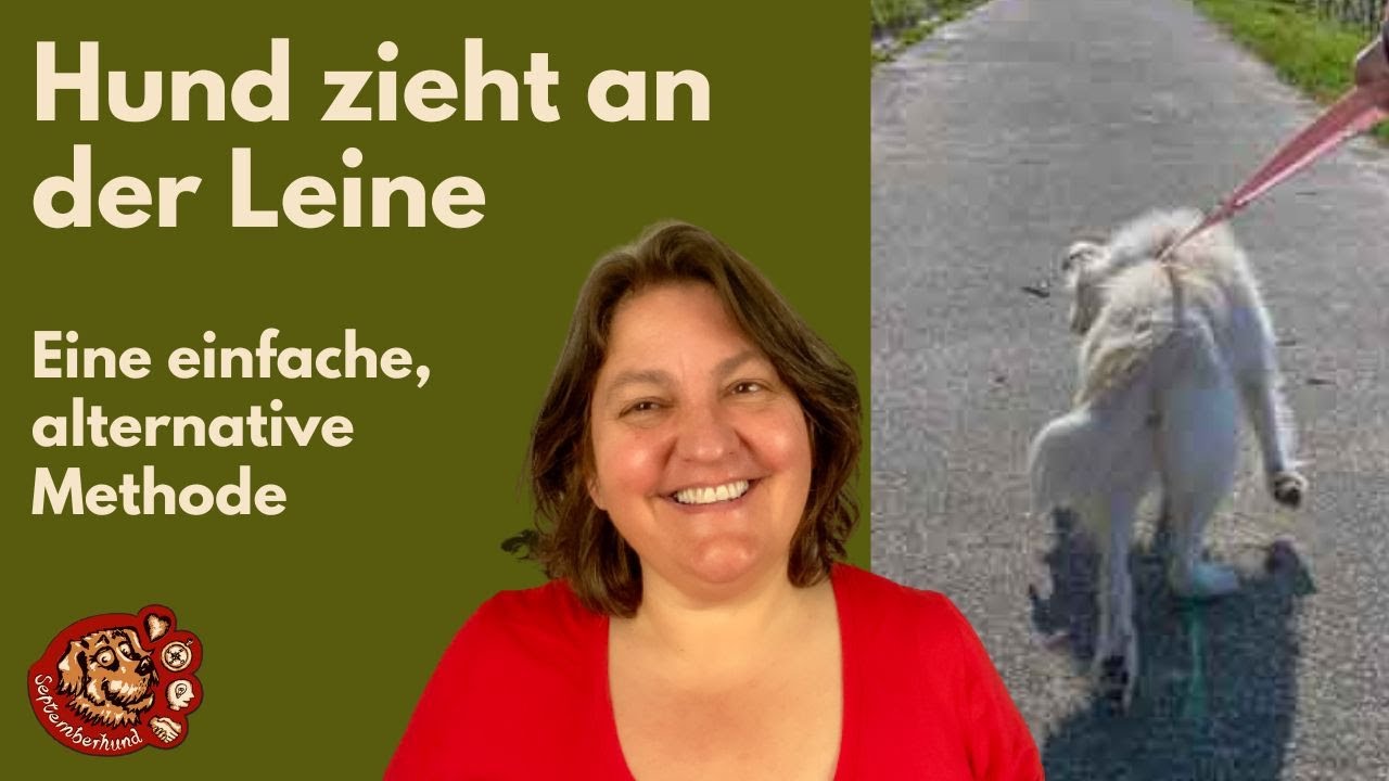 Hund zieht an der Leine - Alternative, einfache Methode