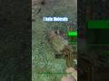 #fallout4gameplay - I hate molerats #gamingchannel