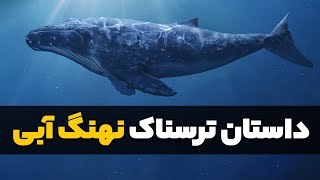 داستان ترسناک تنهاترین نهنگ آبی دنیا | نهنگ 52 هرتزی