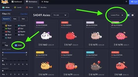 Axie Infinity Team Setup & Buying Beginner Guide