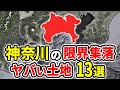 【絶対住むな】神奈川県のヤバい限界集落13選！過疎化が止まらない真相とは？【ゆっくり解説】