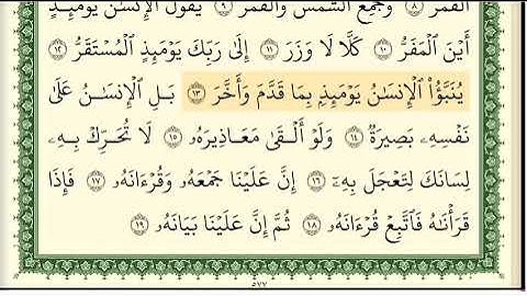 الشيخ محمد شمس الدين خولاني سورة القيامة مكتوبة