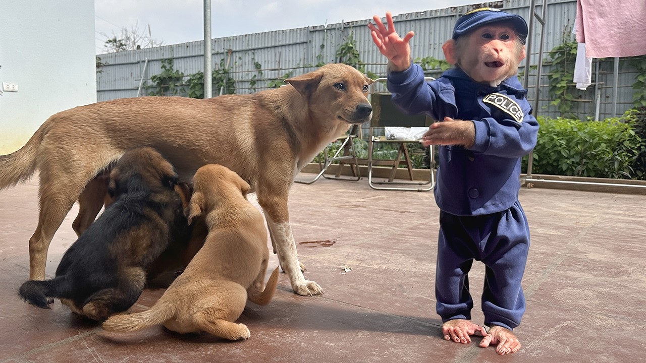 Lala's Full Journey Caring for Tun From Pregnancy to Birth!