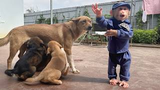 Download Lagu Lala's Full Journey Caring for Tun From Pregnancy to Birth! MP3