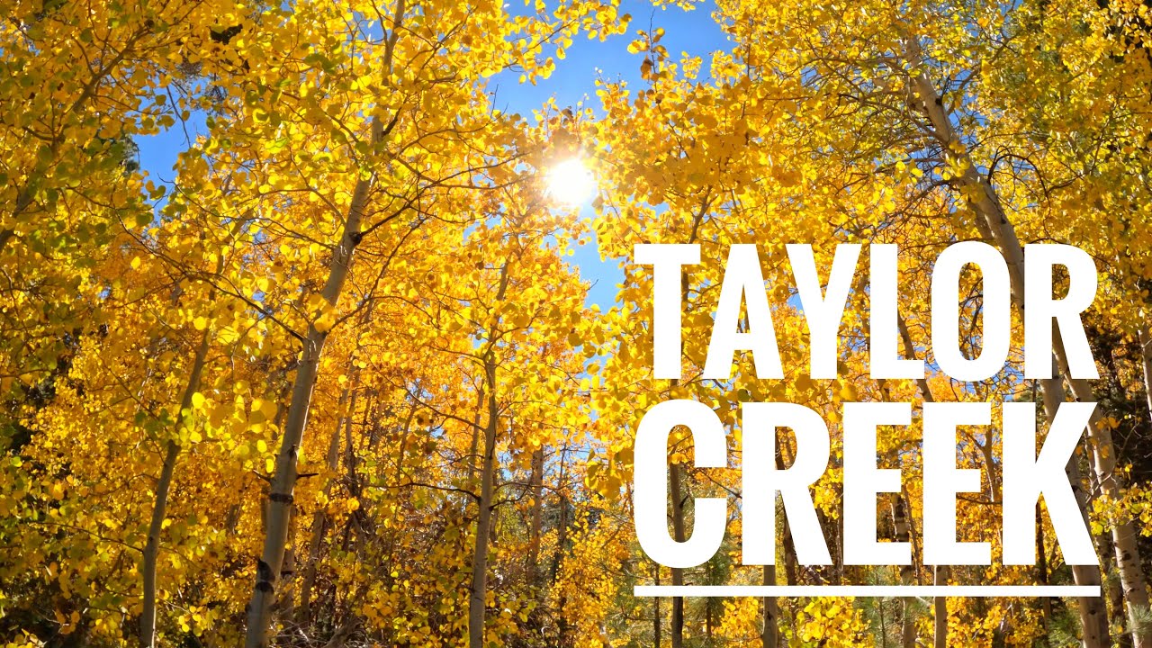 The Taylor Creek Trail: Where Lake Tahoe's History Meets the Golden Aspens