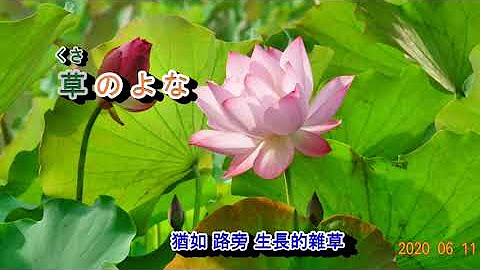 沈琬玲 Youtube
