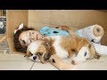 As Aventuras de Valentina e sua cachorrinha abandonada | capítulo 09