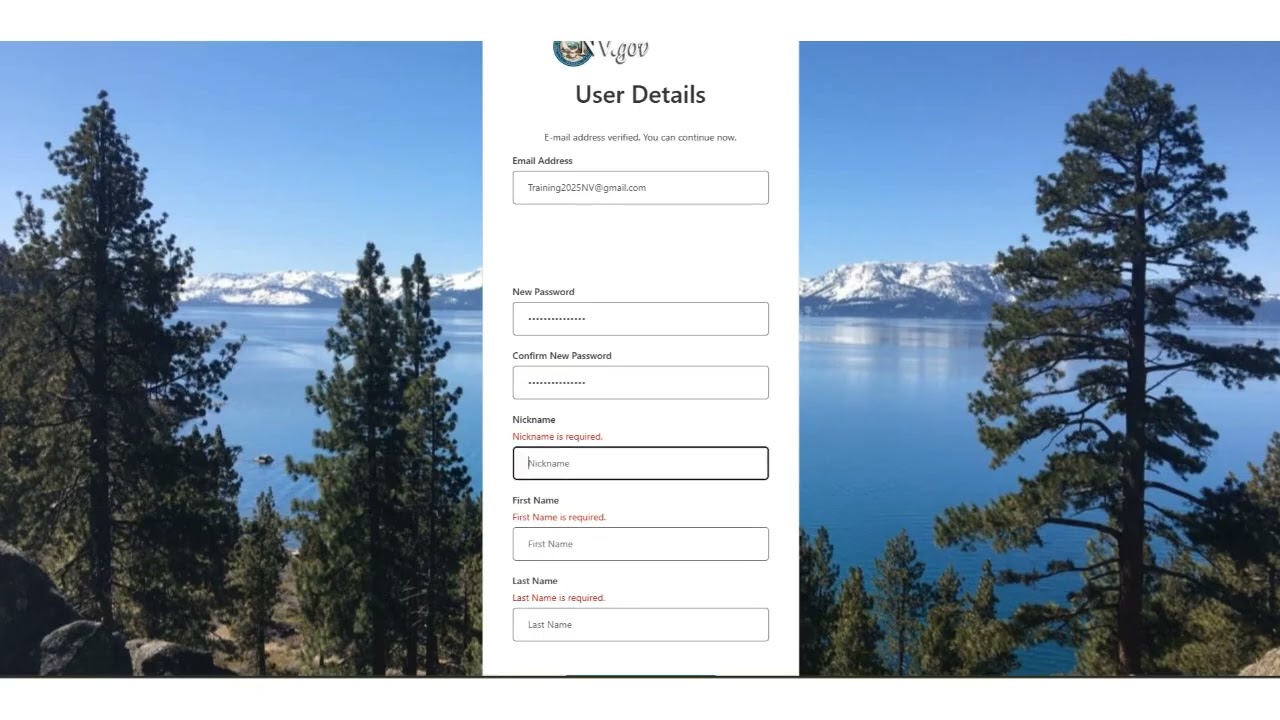 Access Nevada benefit portal new user guide