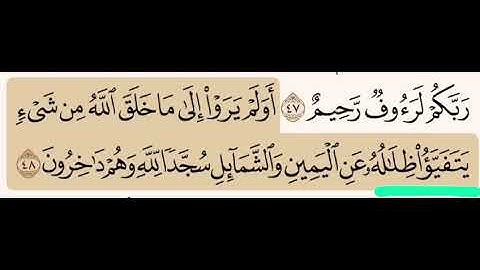 (٧٩) تصحيح تلاوة ما تحته خط- يتفيَؤُ (فعل مضارع بمعنى يميل يمينا ويسارا-ليس يستظلوا) - ظلالُه(فاعل)