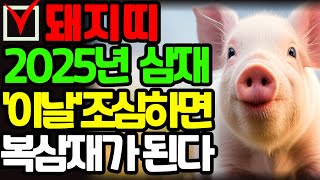 2025년 돼지띠 삼재, 삼재 를 복삼재로 바꾸는 비법 공개 #2025년삼재띠 #삼재 #삼재띠 #삼재풀이 #…