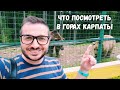 КАРПАТЫ. Цены 😱 Канатная дорога. Медведи 🐻 Водопад. Маковиця. Природа. Что посмотреть в Карпатах ⁉️