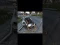 Толпой на свинью #dayzgamers #дейз #зомби #приколы  #смех