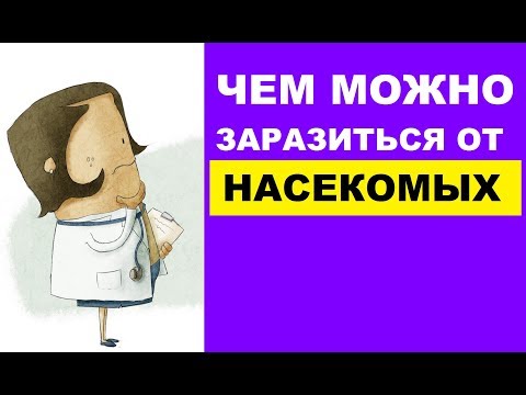 Чем можно заразиться от насекомых: клещи, клопы, мухи, москиты