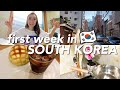 FIRST WEEK LIVING IN SOUTH KOREA | week in my life vlog