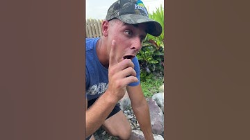 MY PET FISH DIED