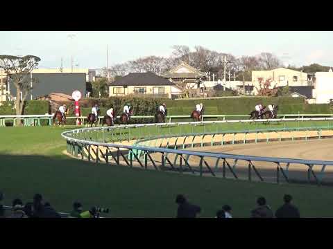 2019 ホープフルステークス コントレイル HOPEFUL STAKES Contrail