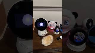 Jibo - Live Highlight From Saturday’s Robot Chat