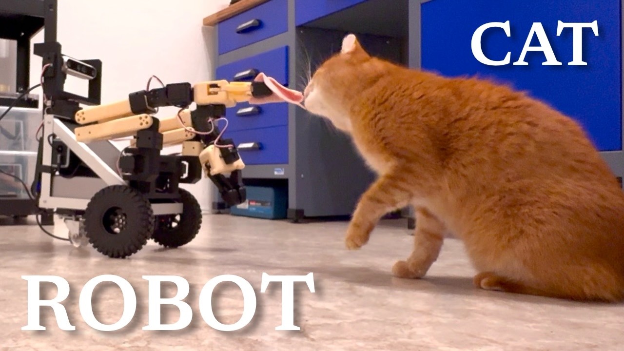 Сможет ли этот робот покормить кошку?