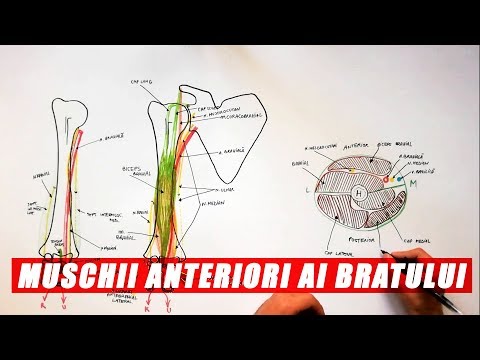 Video: Cum să faci gene mai lungi cu vaselină: 11 pași