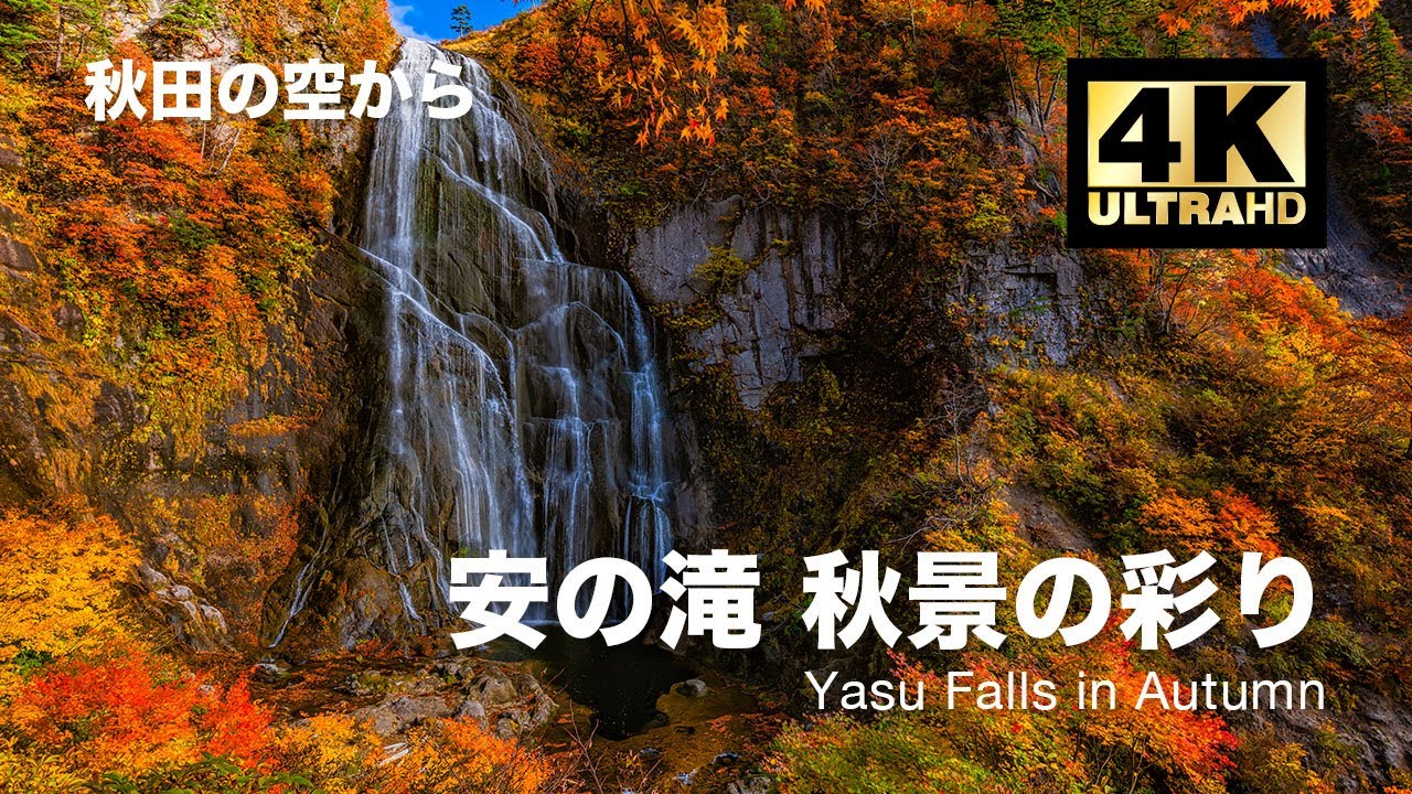 ドローン空撮 安の滝 秋景の彩り 秋田一美しい滝の艶姿 Dji Mavic2 Pro 秋田の空から 東北の紅葉シリーズ 4k 60fps 高画質 Youtube